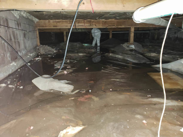 Trusted Water Damage Restoration in Black Rock, NM | Fast, Reliable, and Ready to Assist You